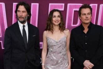 Box Office Underdog to Streaming Royalty